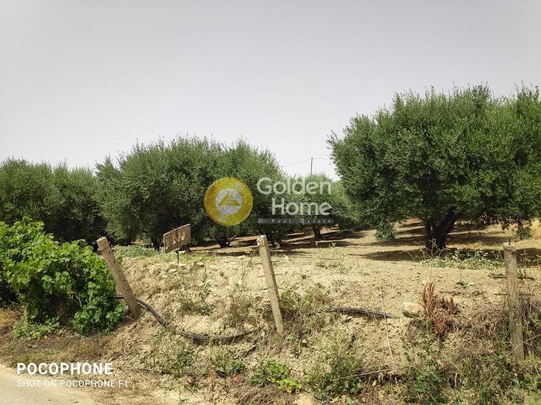 Αγροτεμάχιο στην Άγιος Μύρωνας, Τετραχώρι — Φωτογραφία 29 από 30