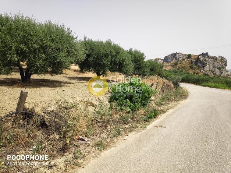 Αγροτεμάχιο στην Άγιος Μύρωνας, Τετραχώρι — Φωτογραφία 30 από 30
