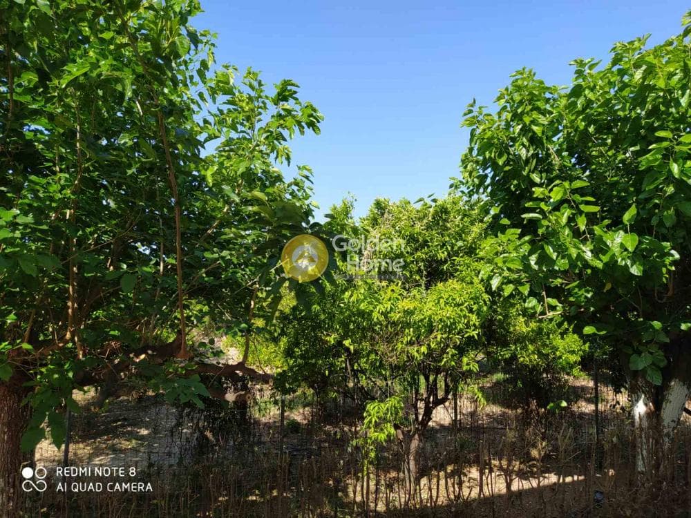 Μονοκατοικία στην Κιάτο, Σικυώνα — Φωτογραφία 39 από 53