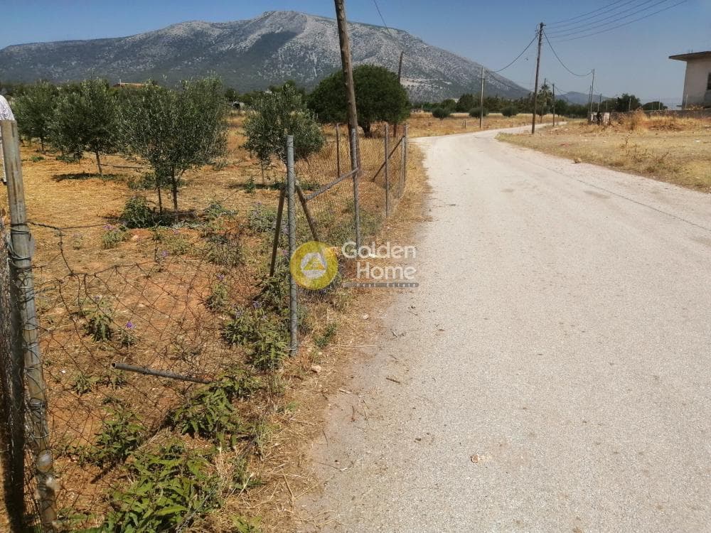 Parcel in Center, Koropi — Photo 1 of 16