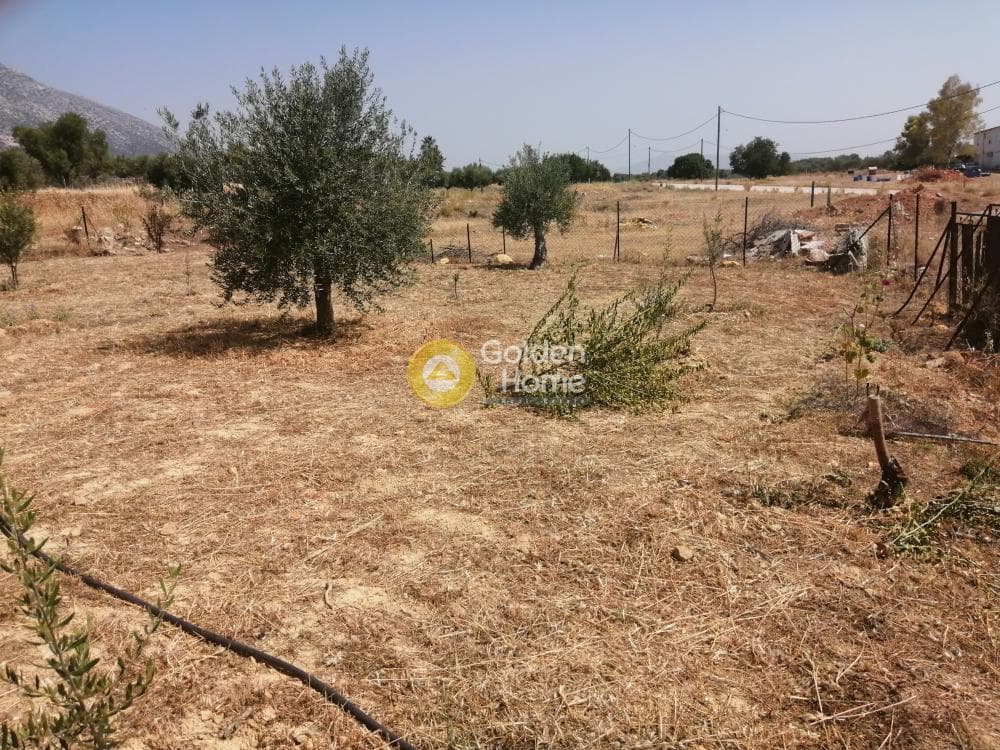 Parcel in Center, Koropi — Photo 8 of 16