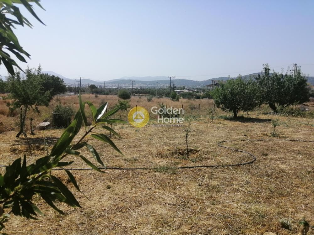 Parcel in Center, Koropi — Photo 10 of 16