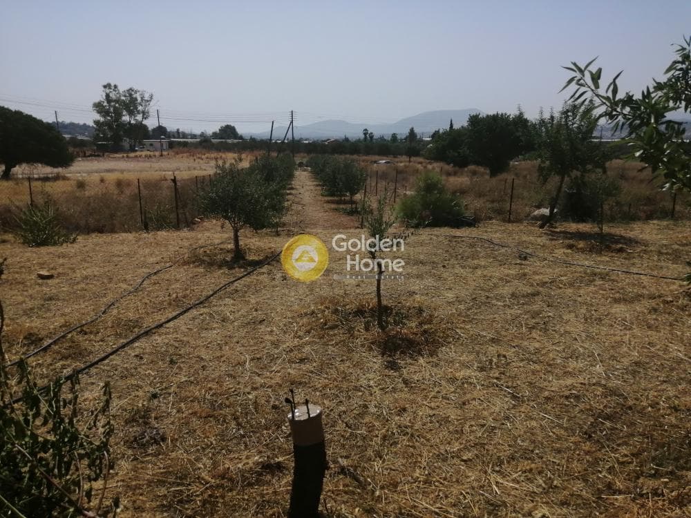 Parcel in Center, Koropi — Photo 5 of 16