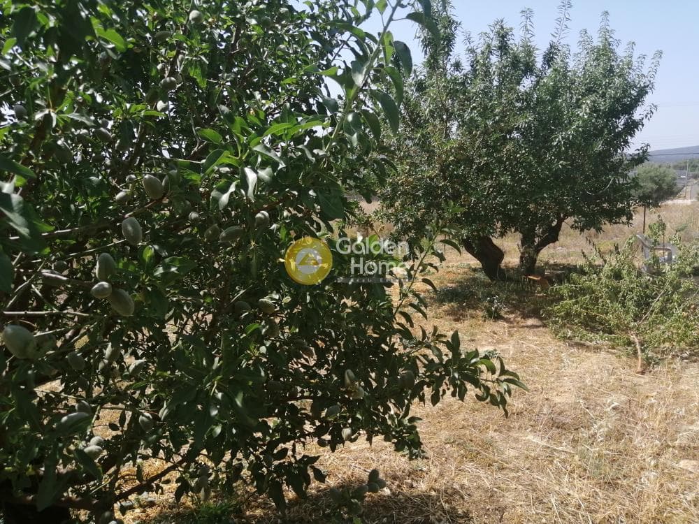 Parcel in Center, Koropi — Photo 11 of 16