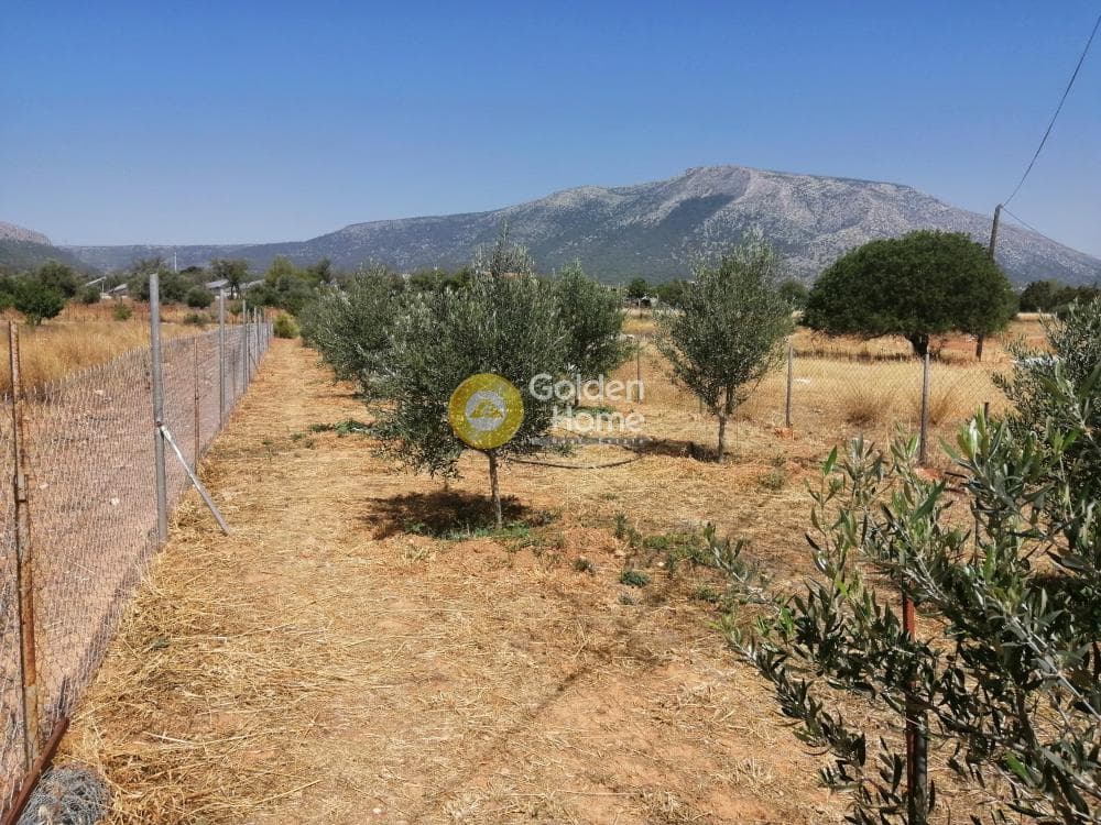 Parcel in Center, Koropi — Photo 3 of 16