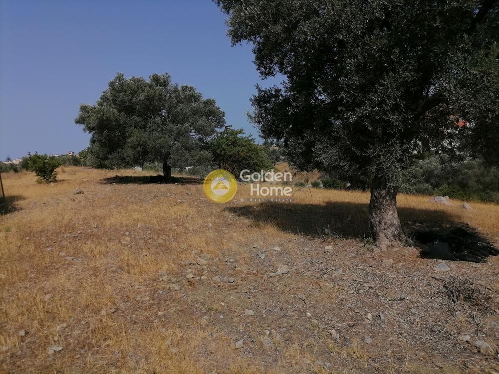 Parcel in Kouses, Moires — Photo 1 of 18