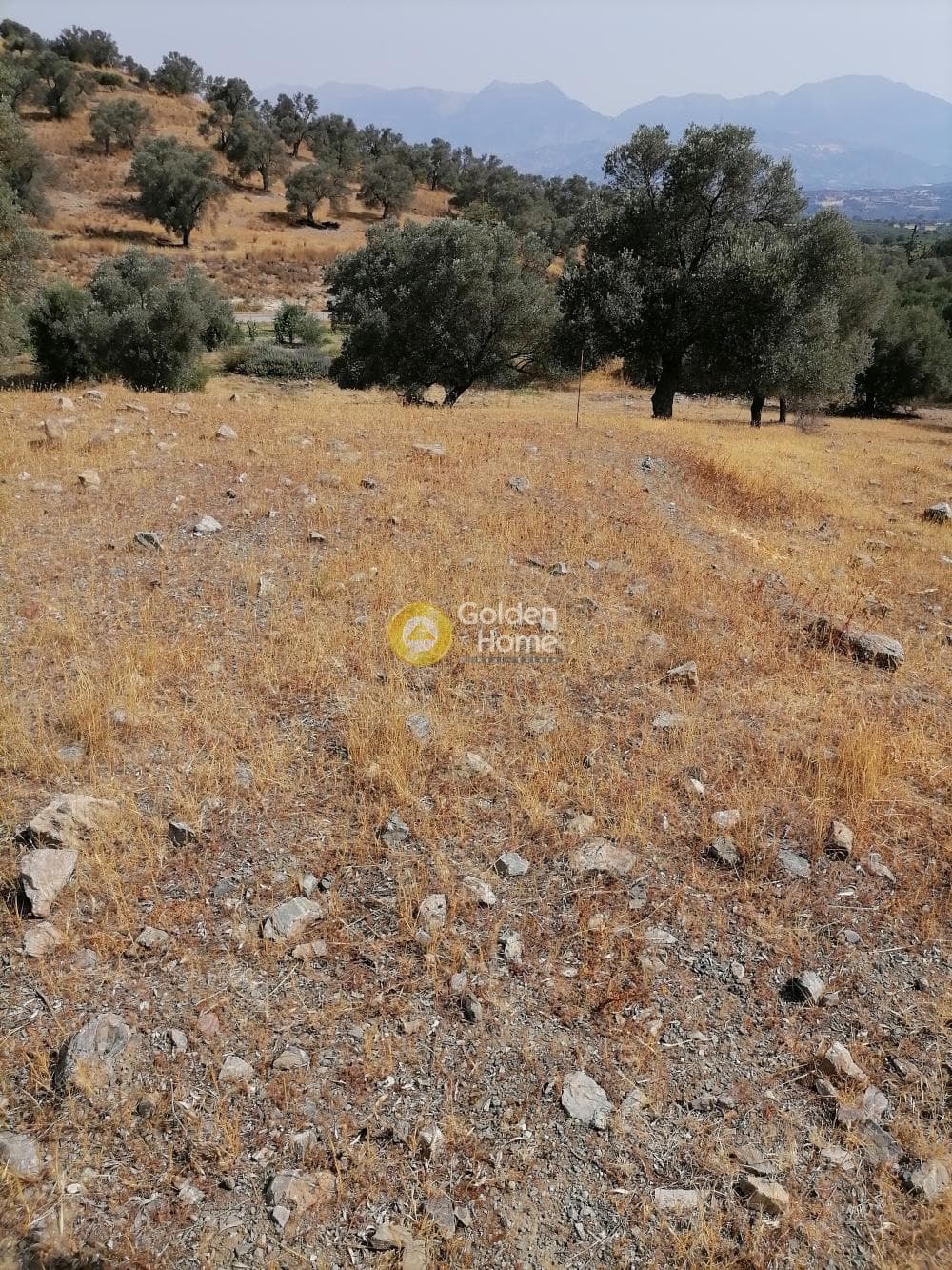 Parcel in Kouses, Moires — Photo 2 of 18