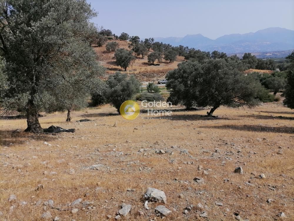 Parcel in Kouses, Moires — Photo 4 of 18