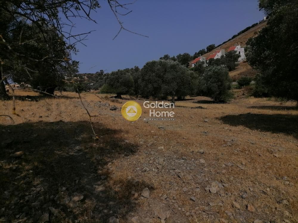 Parcel in Kouses, Moires — Photo 7 of 18