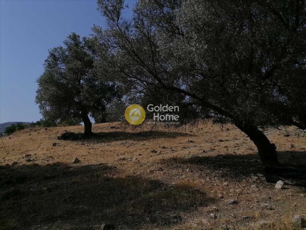 Parcel in Kouses, Moires — Photo 10 of 18