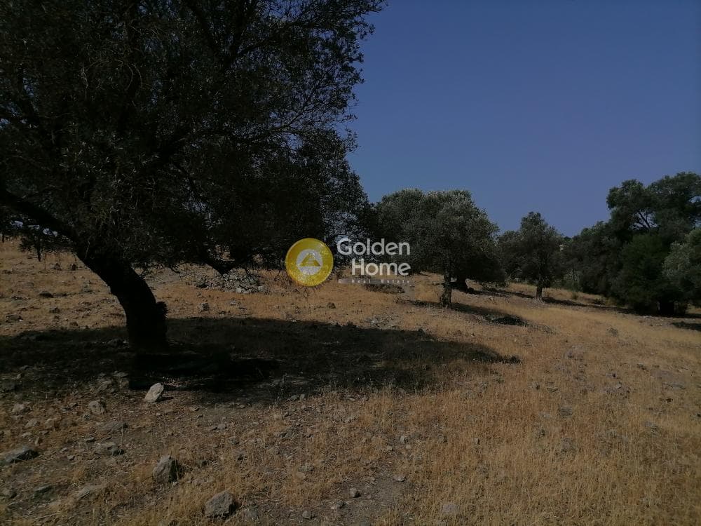 Parcel in Kouses, Moires — Photo 11 of 18