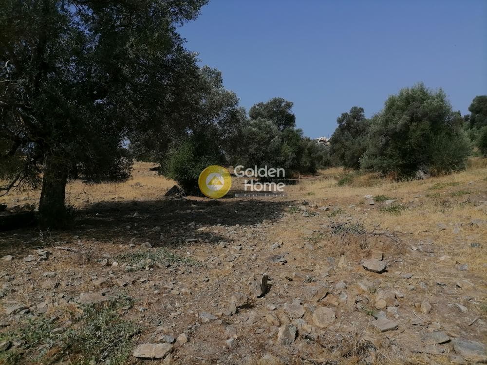 Parcel in Kouses, Moires — Photo 12 of 18