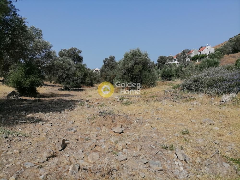 Parcel in Kouses, Moires — Photo 13 of 18