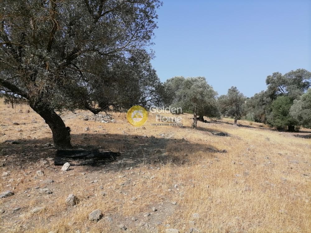 Parcel in Kouses, Moires — Photo 14 of 18