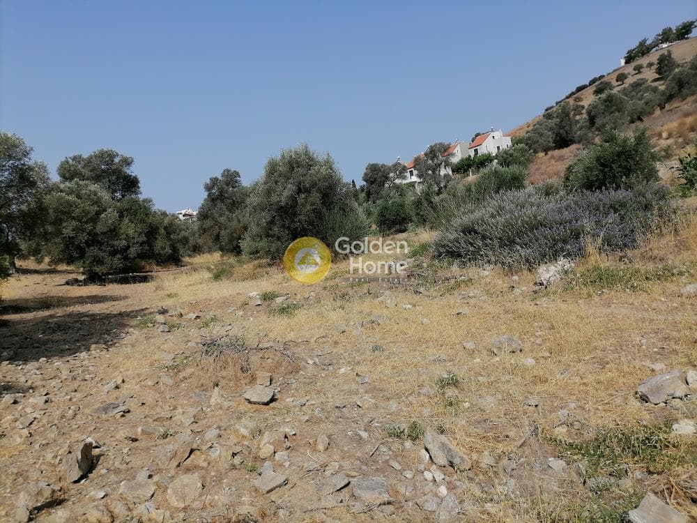Parcel in Kouses, Moires — Photo 15 of 18
