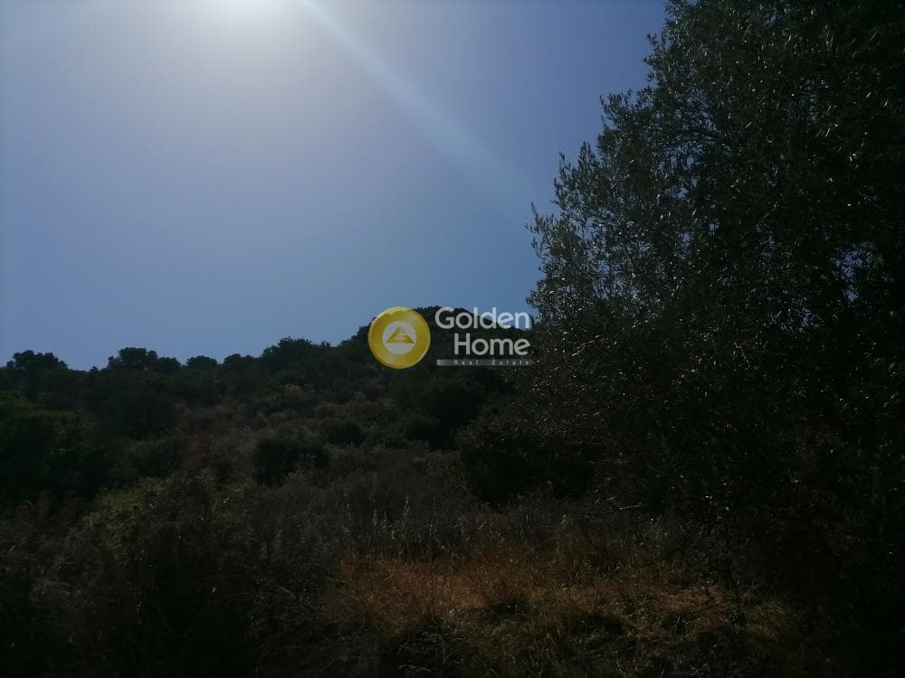 Building Plot in Faneromeni, Moires — Photo 7 of 14