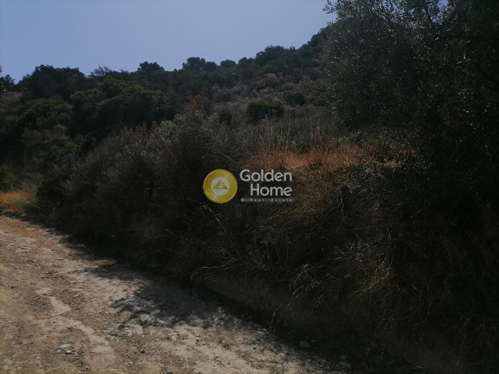 Building Plot in Faneromeni, Moires — Photo 9 of 14