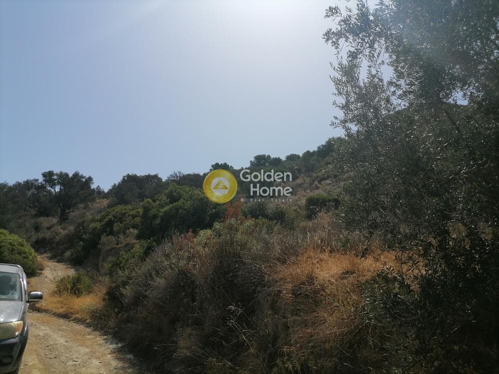 Building Plot in Faneromeni, Moires — Photo 10 of 14