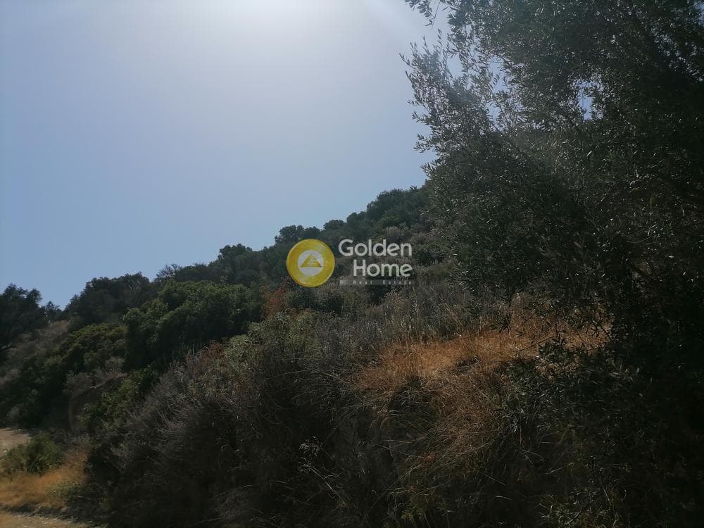 Building Plot in Faneromeni, Moires — Photo 11 of 14
