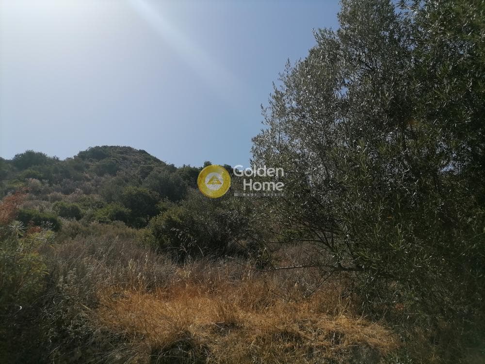 Building Plot in Faneromeni, Moires — Photo 13 of 14