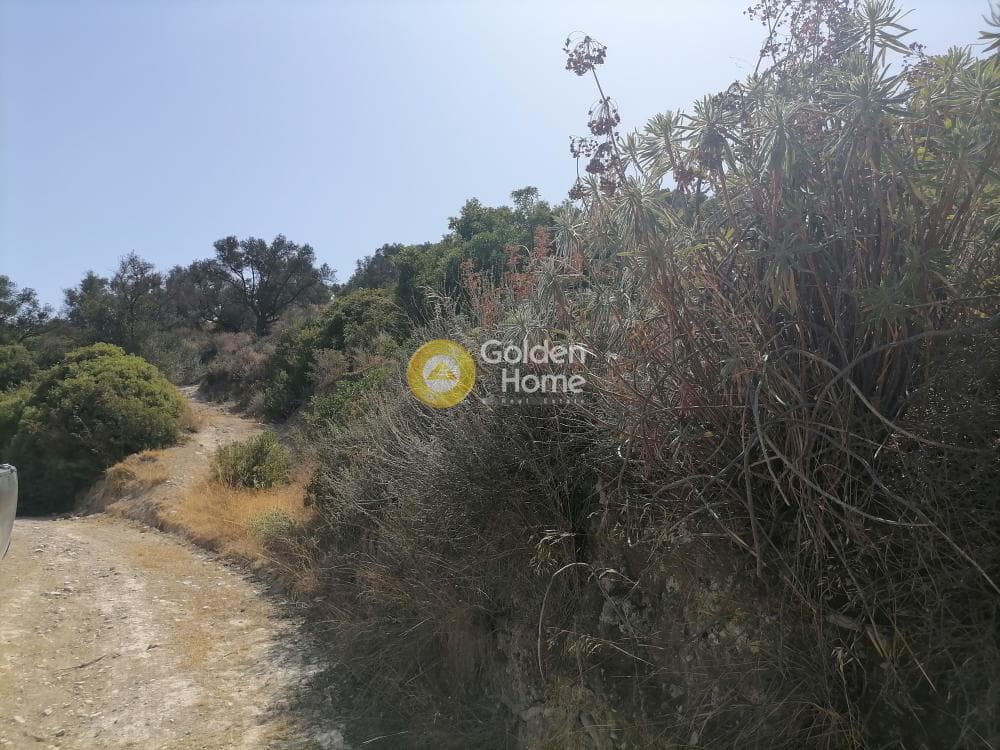 Building Plot in Faneromeni, Moires — Photo 14 of 14