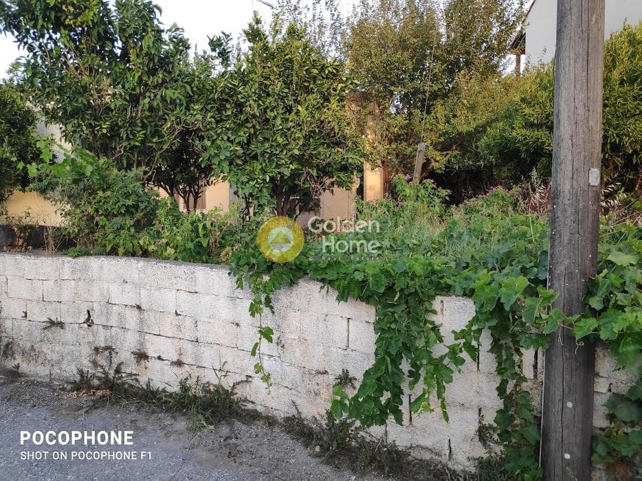 Building Plot in Archontiko, Arkalochori — Photo 8 of 30