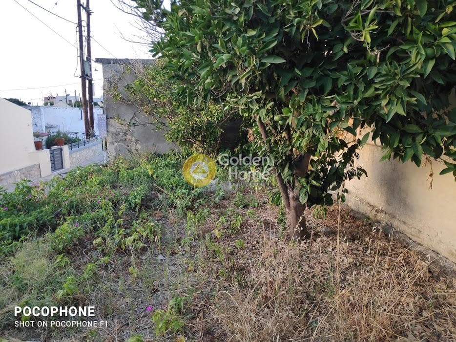 Building Plot in Archontiko, Arkalochori — Photo 7 of 30