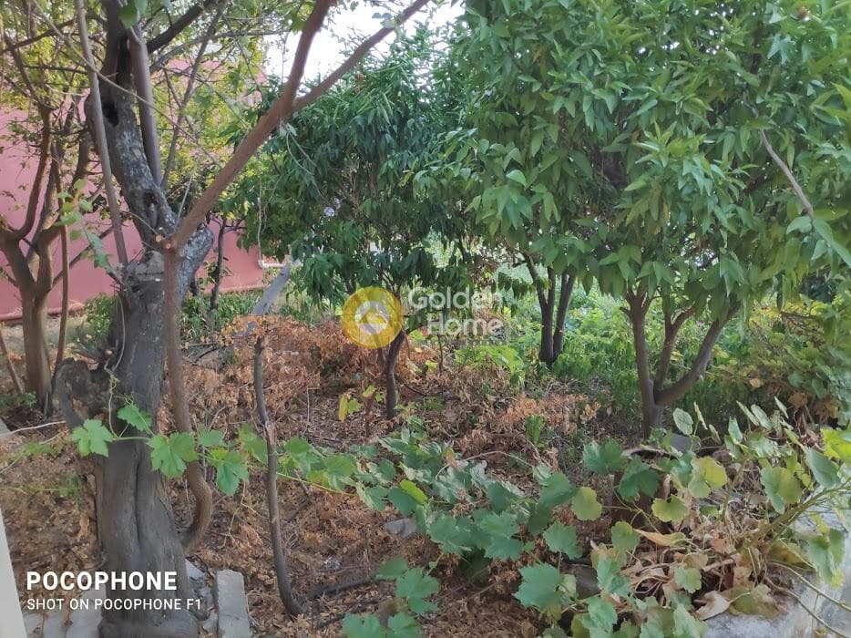 Building Plot in Archontiko, Arkalochori — Photo 5 of 30