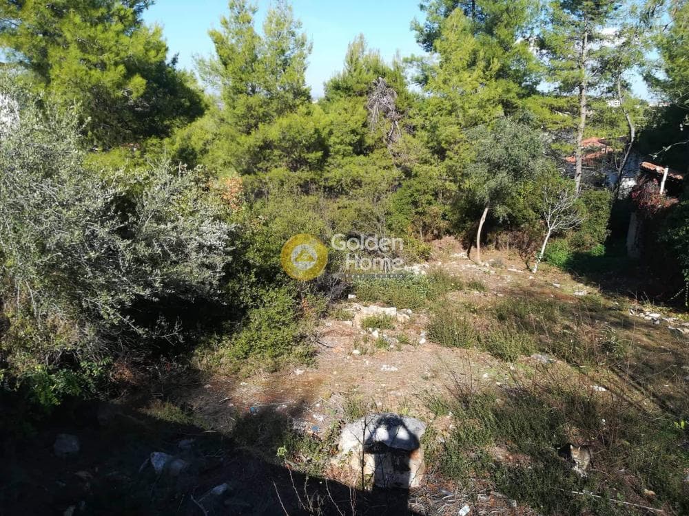 Οικόπεδο στην Δροσιά, Δροσιά — Φωτογραφία 1 από 14