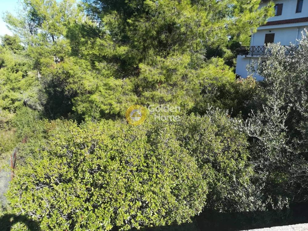 Οικόπεδο στην Δροσιά, Δροσιά — Φωτογραφία 2 από 14