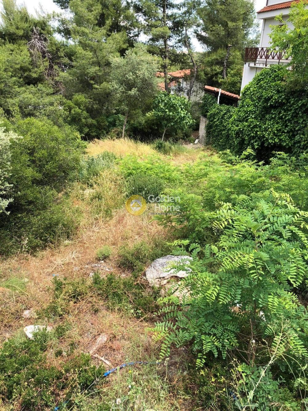 Οικόπεδο στην Δροσιά, Δροσιά — Φωτογραφία 3 από 14