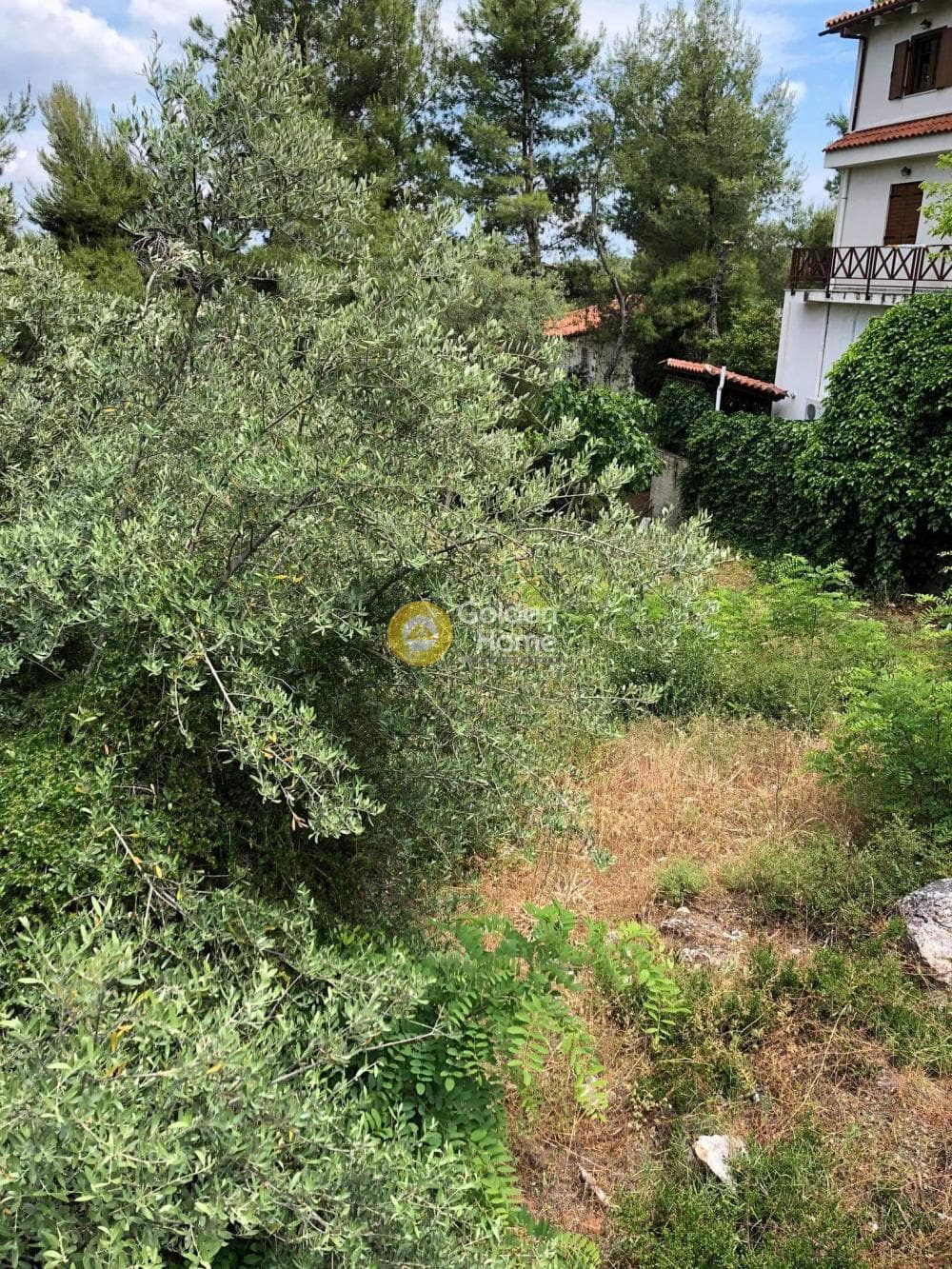 Οικόπεδο στην Δροσιά, Δροσιά — Φωτογραφία 4 από 14