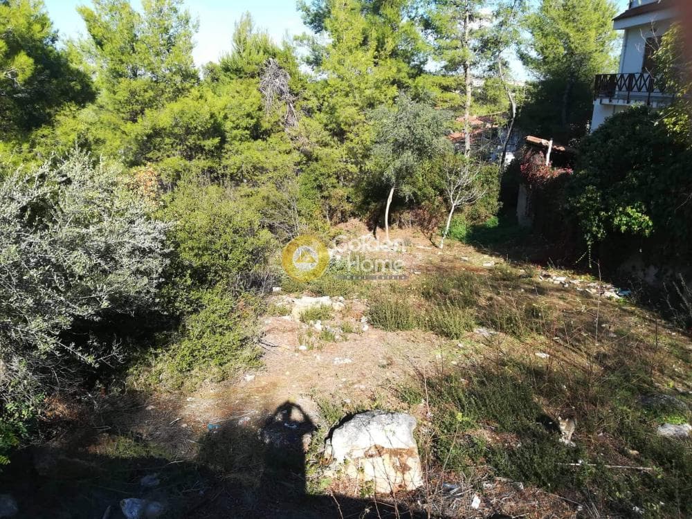 Οικόπεδο στην Δροσιά, Δροσιά — Φωτογραφία 5 από 14