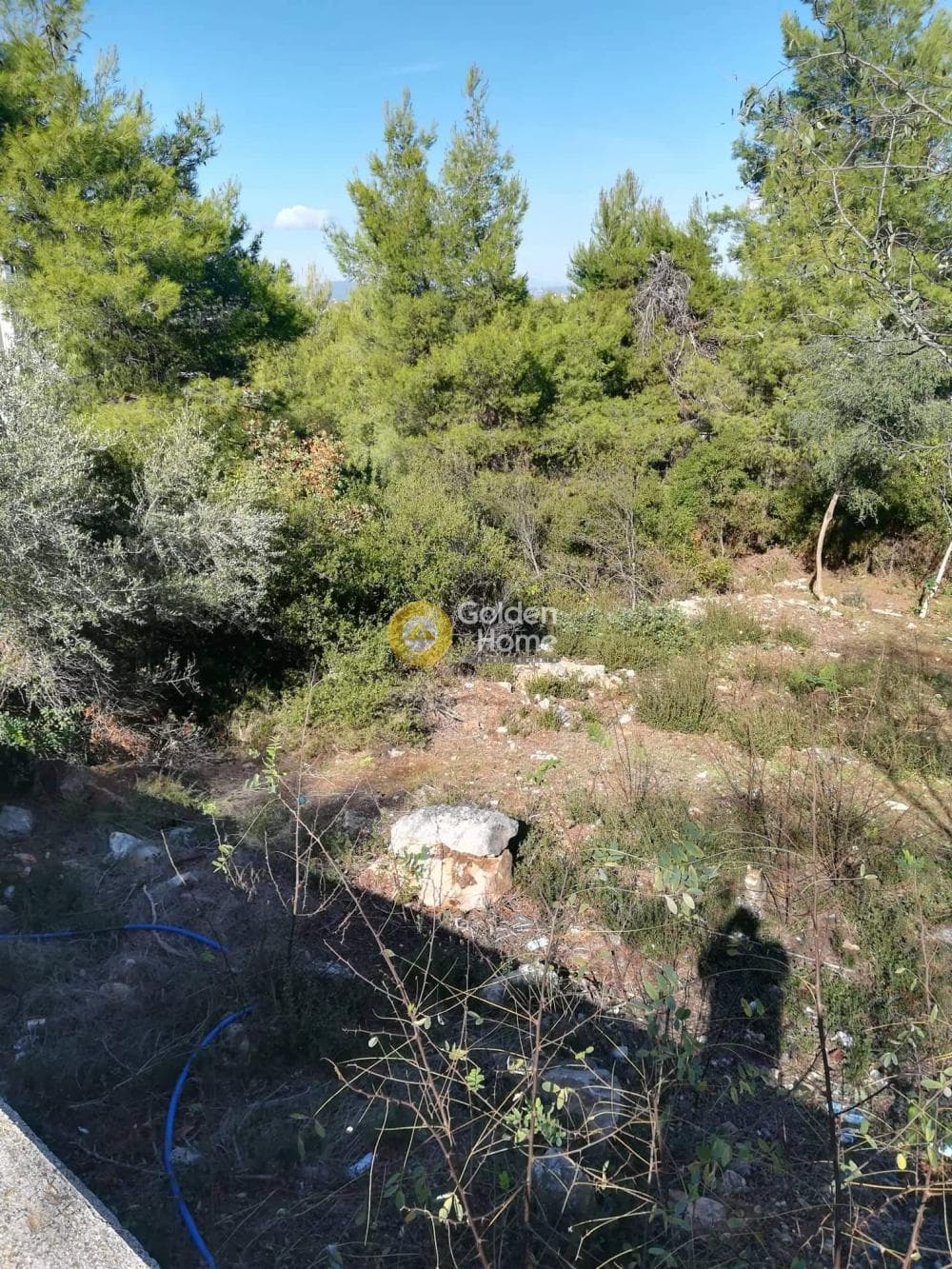 Οικόπεδο στην Δροσιά, Δροσιά — Φωτογραφία 6 από 14
