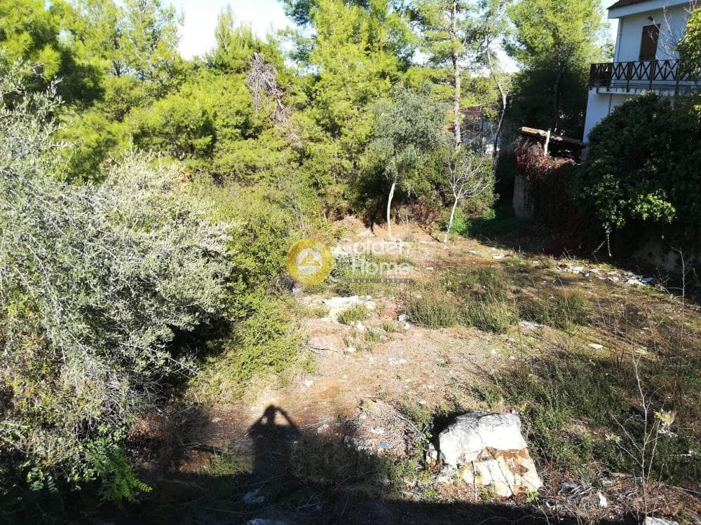 Οικόπεδο στην Δροσιά, Δροσιά — Φωτογραφία 8 από 14