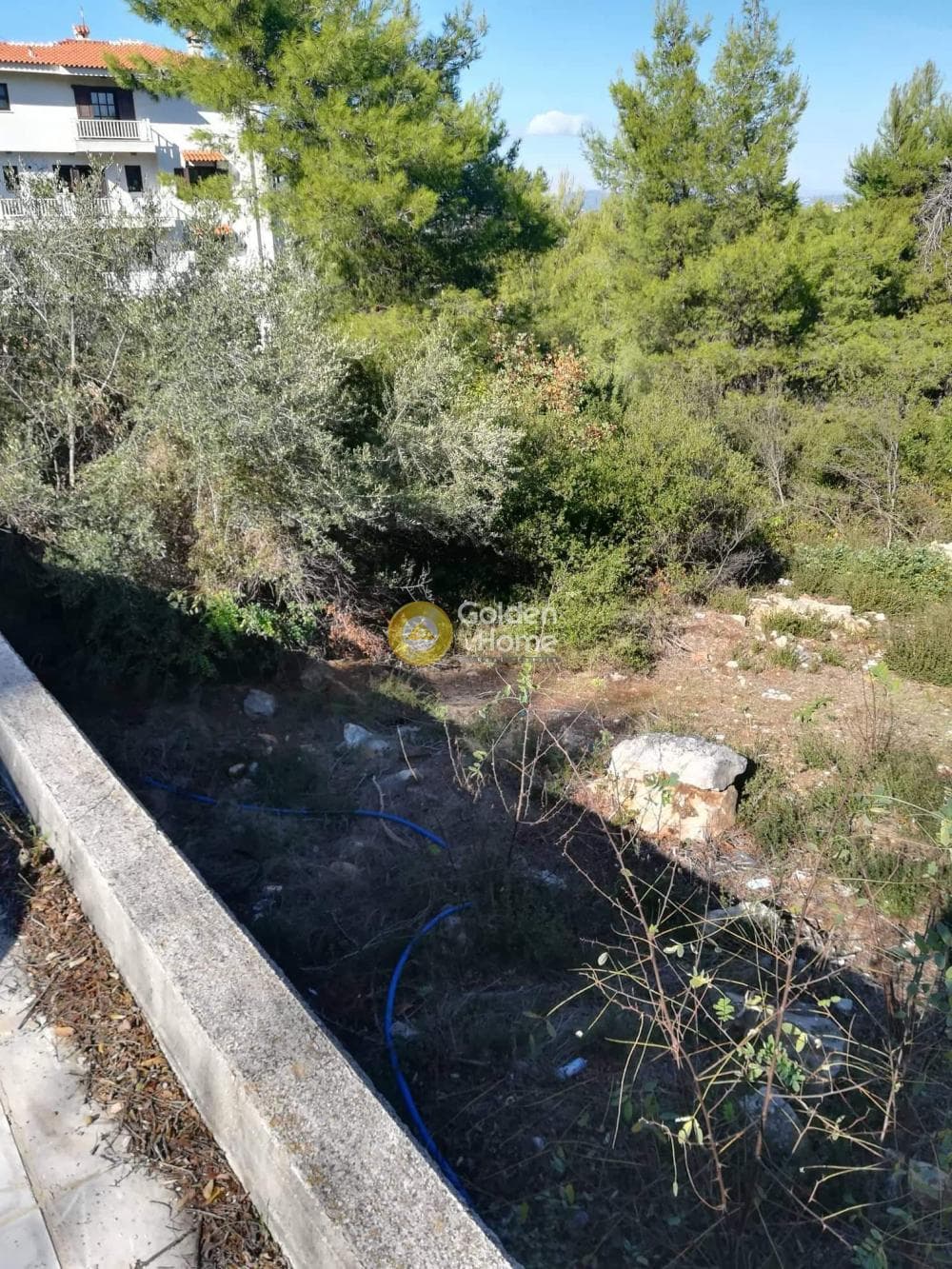 Οικόπεδο στην Δροσιά, Δροσιά — Φωτογραφία 9 από 14