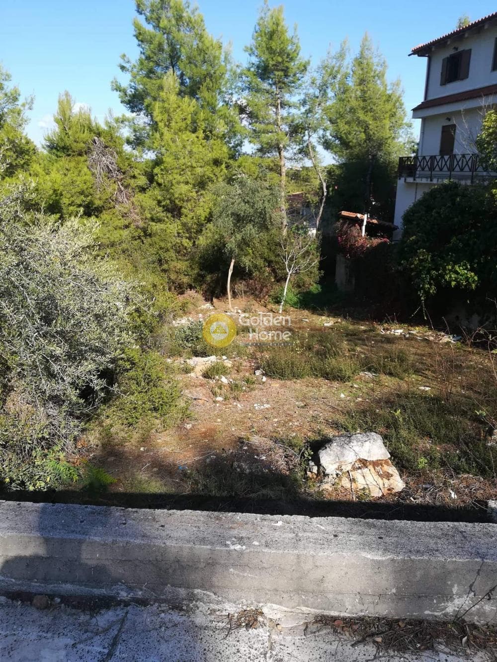 Οικόπεδο στην Δροσιά, Δροσιά — Φωτογραφία 10 από 14
