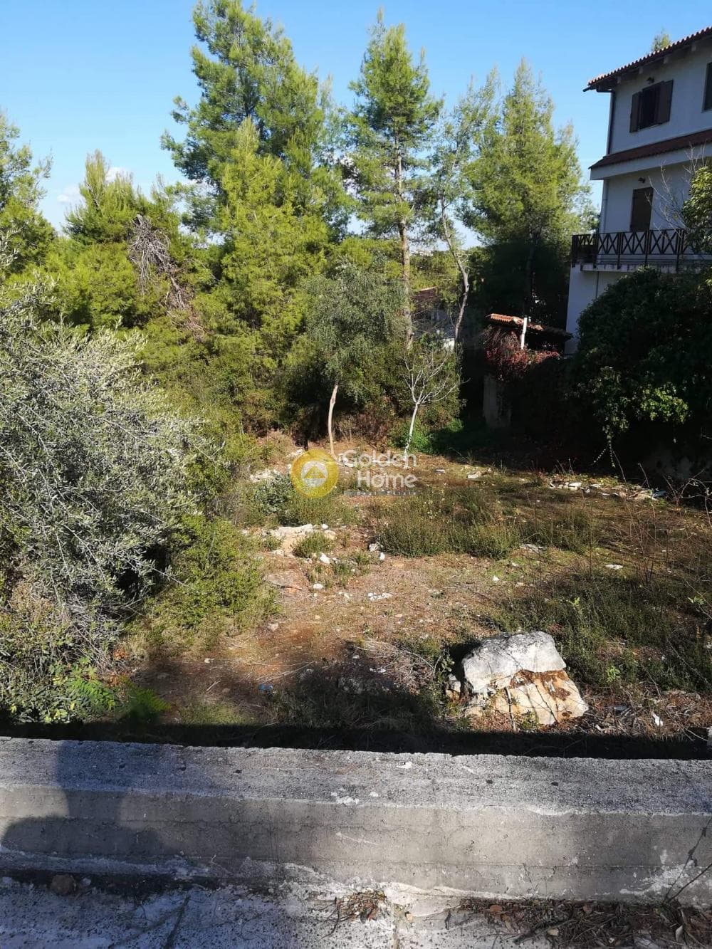 Οικόπεδο στην Δροσιά, Δροσιά — Φωτογραφία 13 από 14
