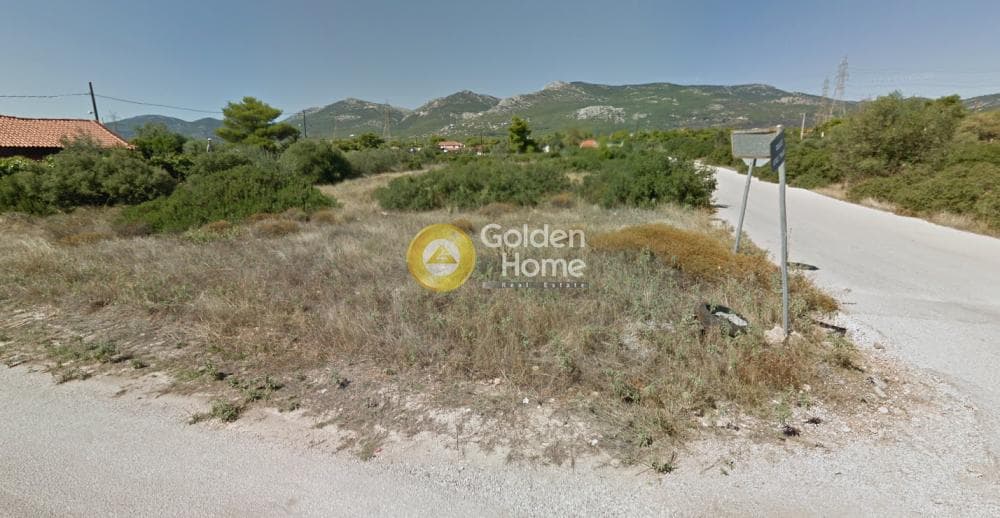 Αγροτεμάχιο στην Μεγάλα Σχοινία Α, Αχαρνές