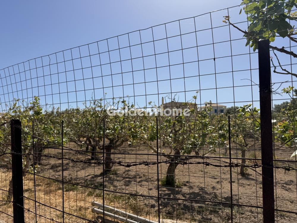 Οικόπεδο στην Κυψέλη, Αίγινα — Φωτογραφία 3 από 7
