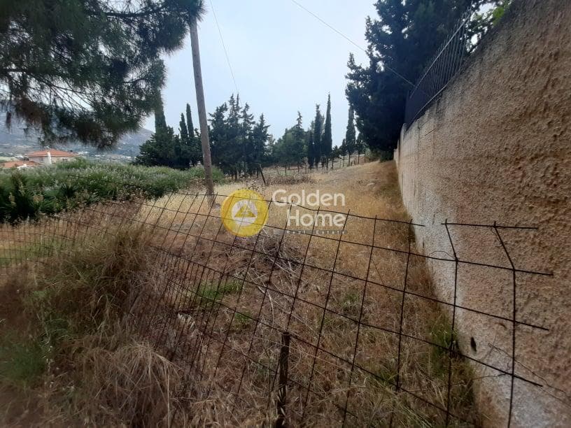 Αγροτεμάχιο στην Γαλάζια ακτή, Καλύβια Θορικού — Φωτογραφία 4 από 4
