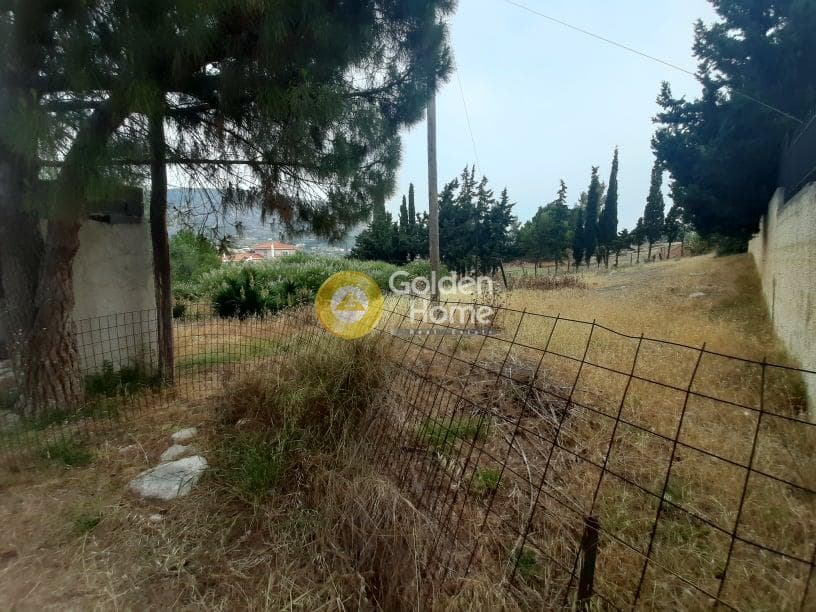 Αγροτεμάχιο στην Γαλάζια ακτή, Καλύβια Θορικού — Φωτογραφία 2 από 4