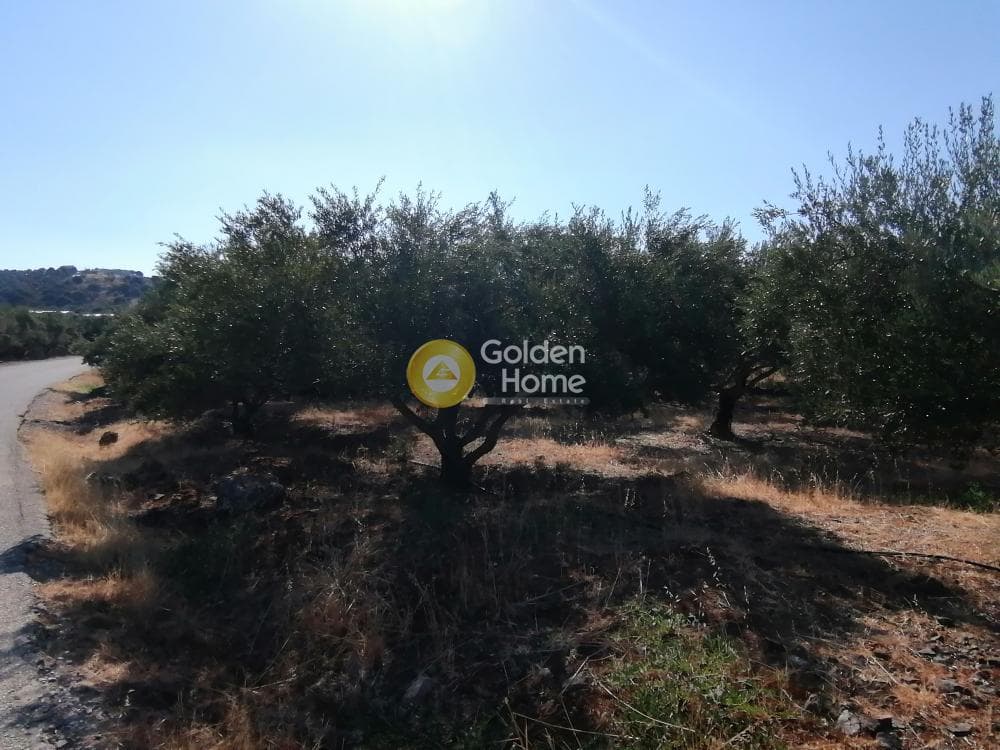 Building Plot in Kouses, Moires — Photo 1 of 16