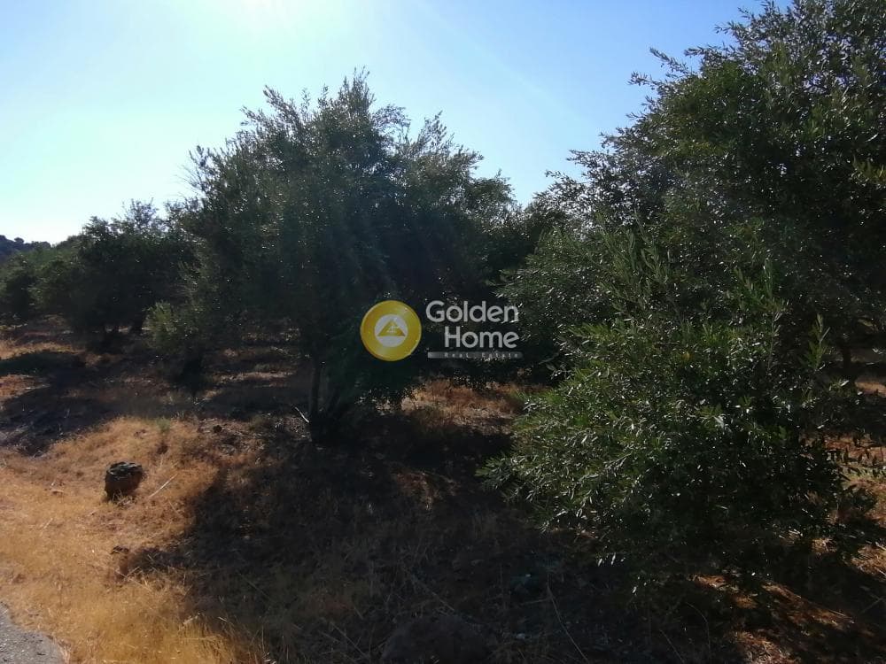 Building Plot in Kouses, Moires — Photo 2 of 16