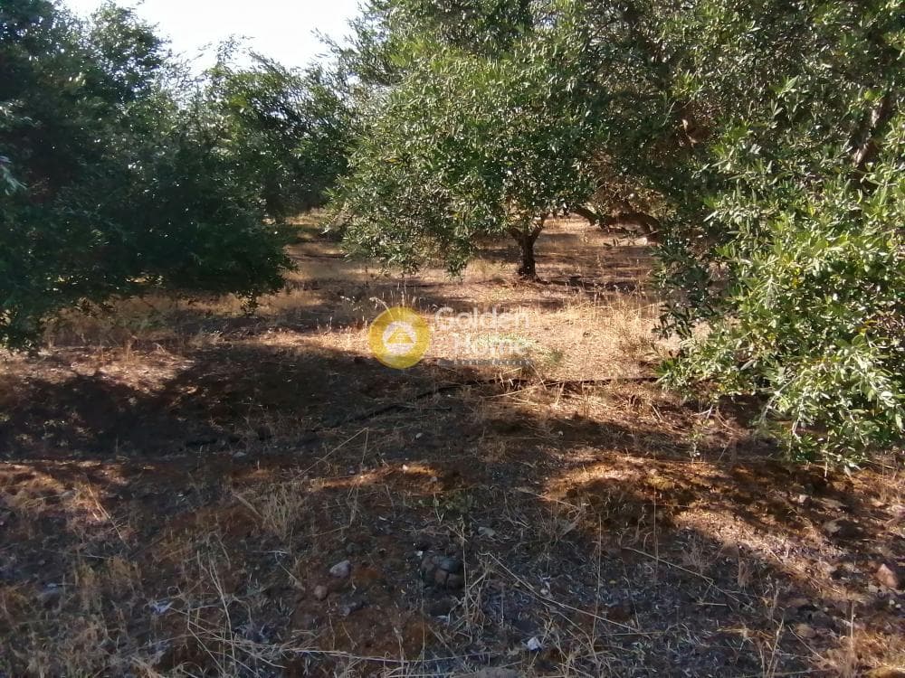 Building Plot in Kouses, Moires — Photo 6 of 16