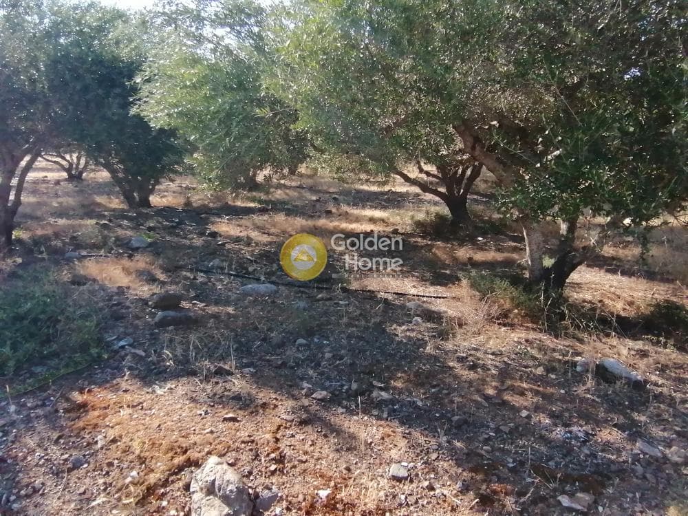 Building Plot in Kouses, Moires — Photo 7 of 16