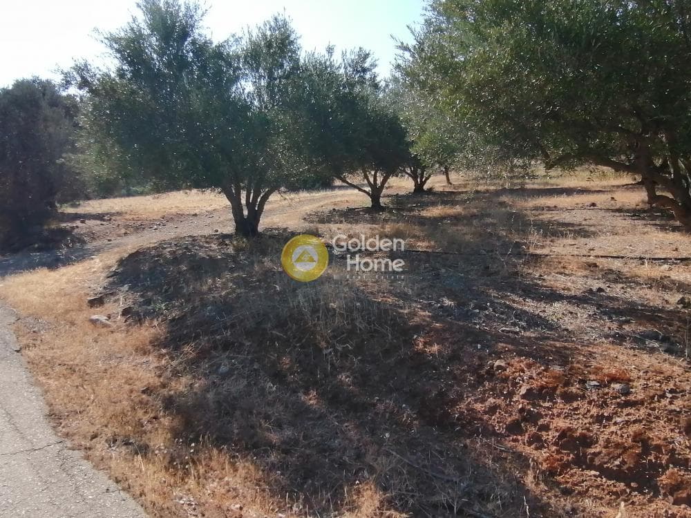 Building Plot in Kouses, Moires — Photo 9 of 16