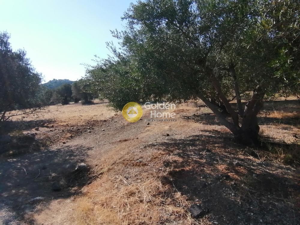 Building Plot in Kouses, Moires — Photo 10 of 16