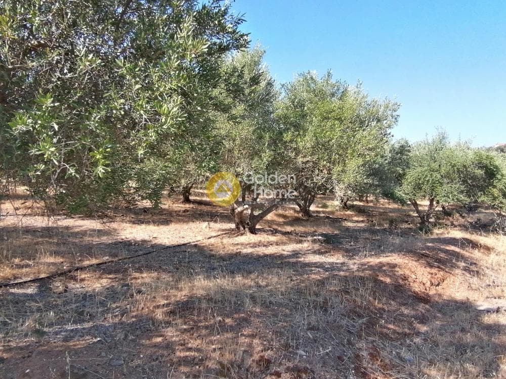 Building Plot in Kouses, Moires — Photo 13 of 16