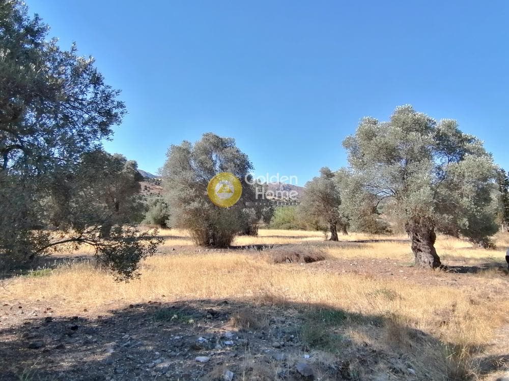 Building Plot in Kouses, Moires — Photo 14 of 16